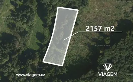 Prodej lesa 921 m², Jablůnka, okres Vsetín