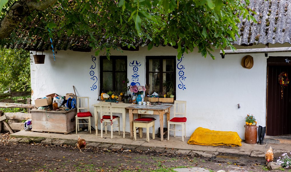 Prodej domu 60 m² s pozemkem 13 269 m², Litíč – náhled fotky 3