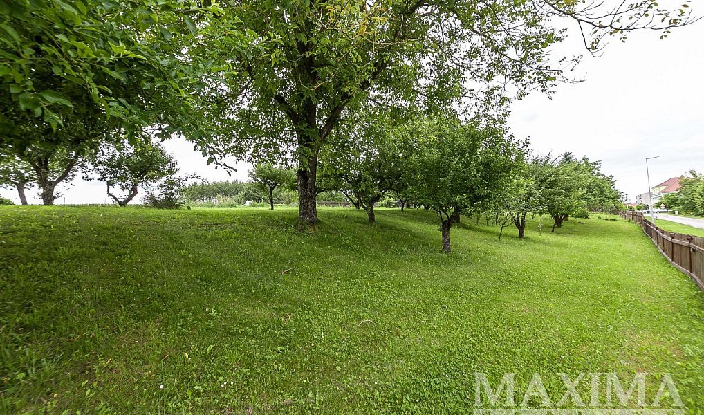 Prodej stavebního pozemku 1 372 m², Běchary – náhled fotky 11