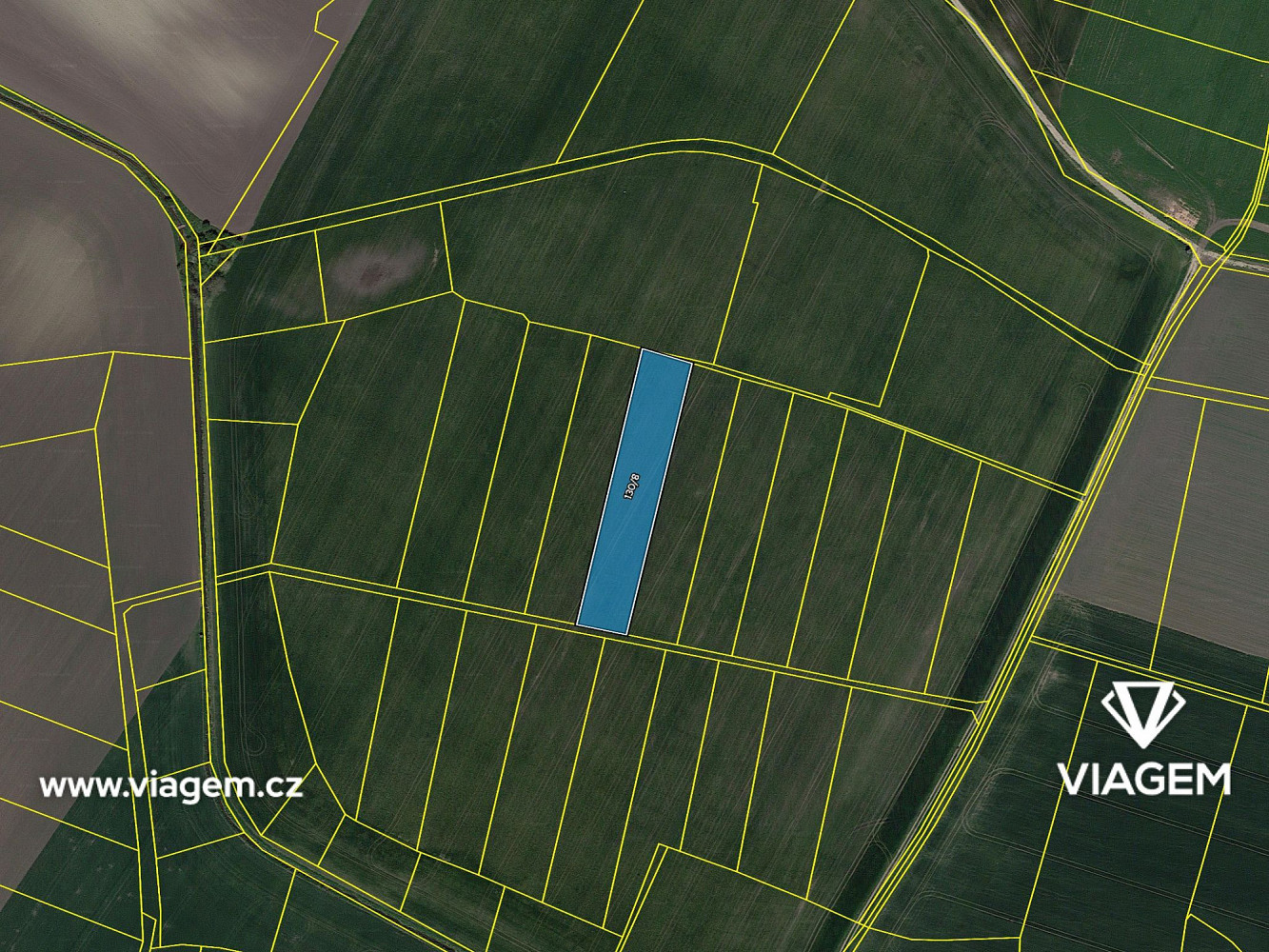 Prodej pole 711 m² – fotografie 4