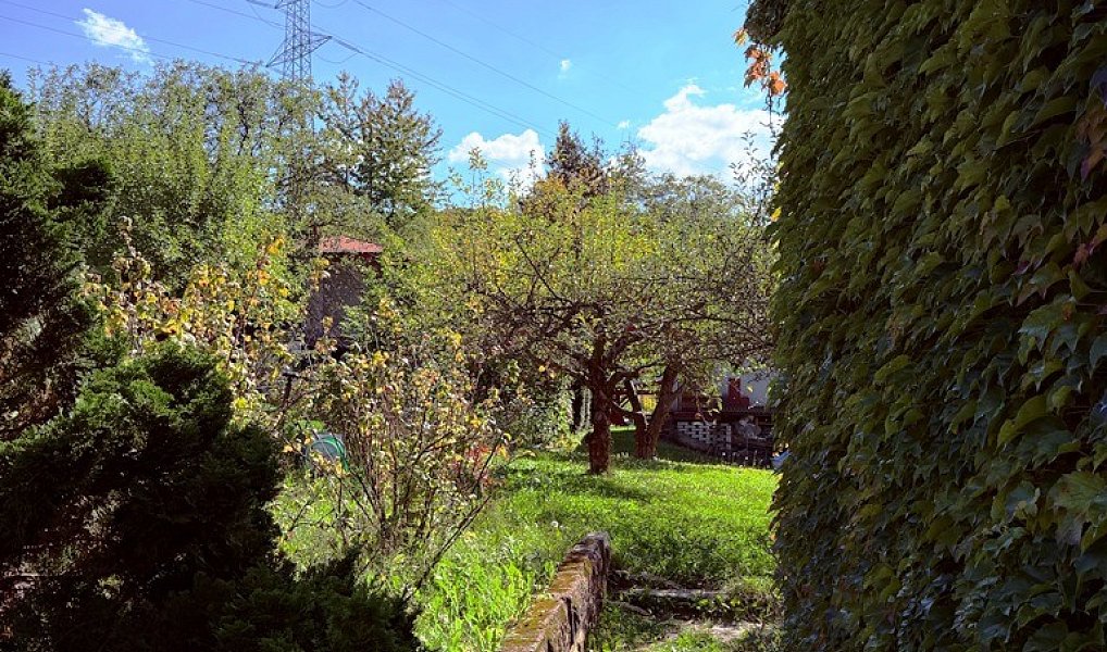Prodej zahrady 392 m², Příbor – náhled fotky 13