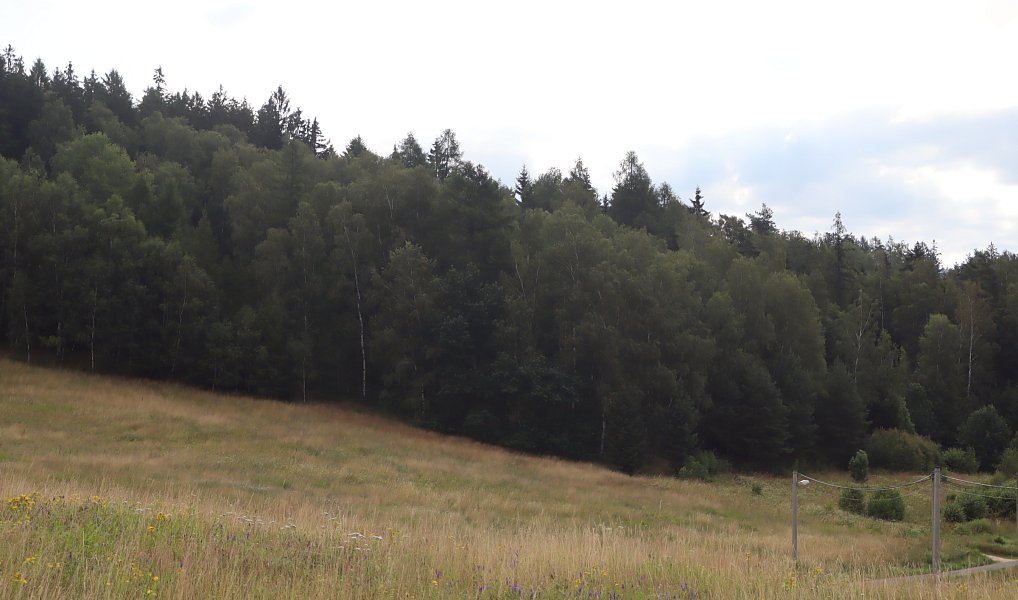 Prodej stavebního pozemku 36 716 m², Dlouhý Most – náhled fotky 6