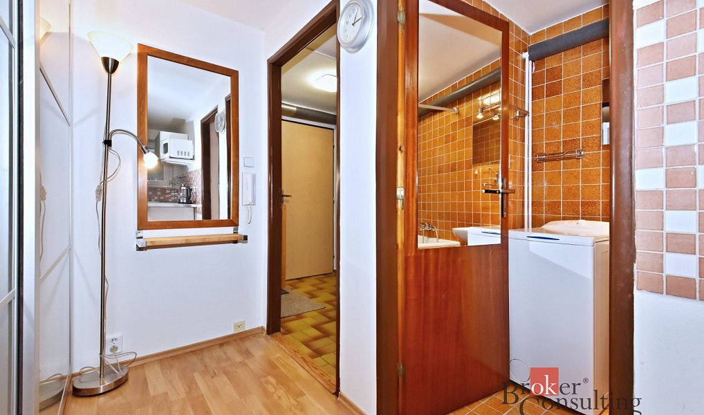 Pronájem bytu 1+kk 25 m², Praha – náhled fotky 9