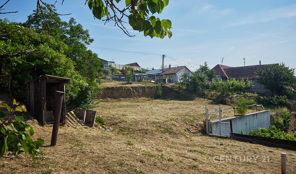 Prodej stavebního pozemku 854 m², Tasovice – náhled fotky 11