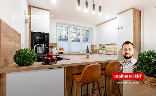 Prodej bytu 3+kk 53 m², Buzulucká, Teplice - Řetenice