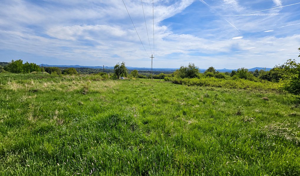 Prodej stavebního pozemku 2 002 m², Svojkov – náhled fotky 4