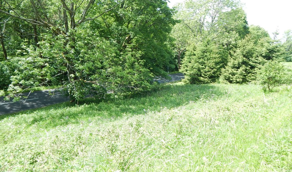 Prodej zahrady 876 m², Vejprty – náhled fotky 23
