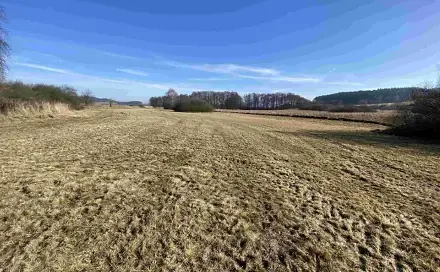 Dražba louky 10 470 m², Radějovice
