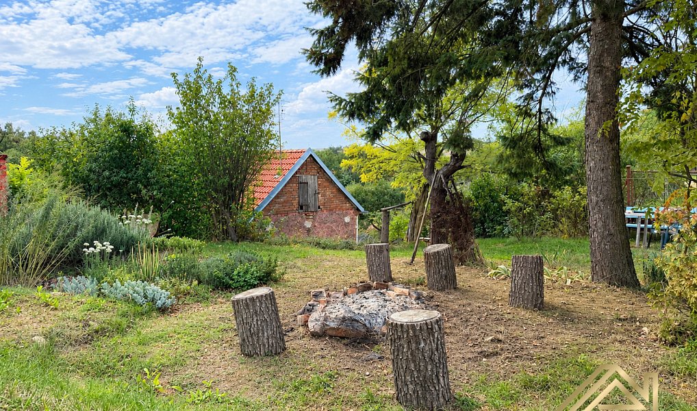 Prodej chaty/chalupy 25 m² s pozemkem 610 m², Němčičky – náhled fotky 5