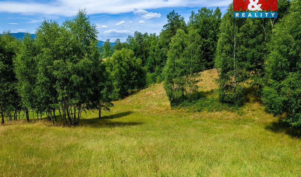 Prodej pozemku 8 531 m², Dlouhý Most – náhled fotky 21