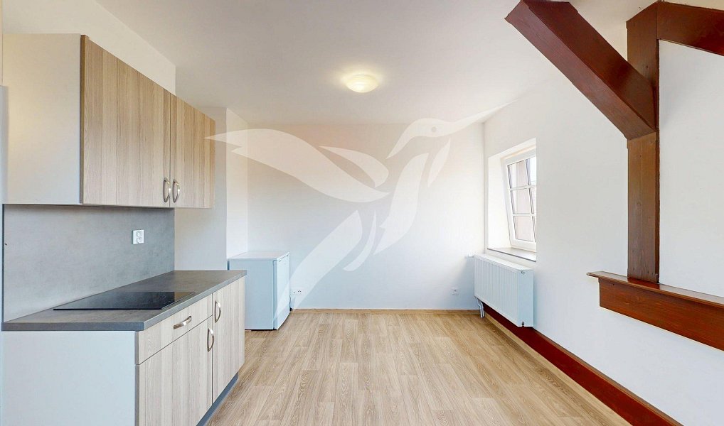 Pronájem bytu 1+kk 26 m², Šťáhlavy – náhled fotky 7