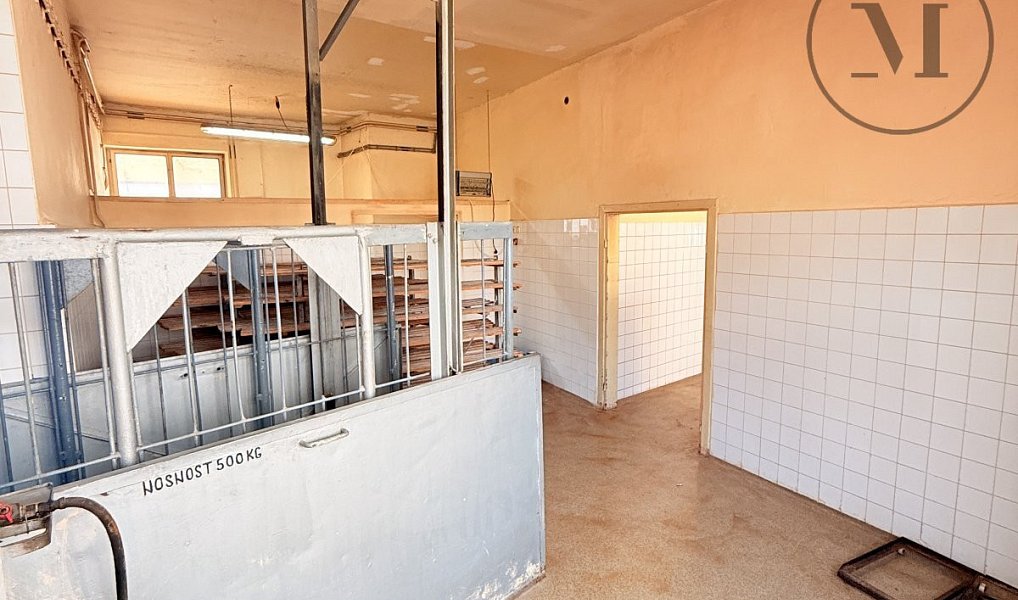 Pronájem komerčního objektu (jiného typu) 120 m², Netolice – náhled fotky 17