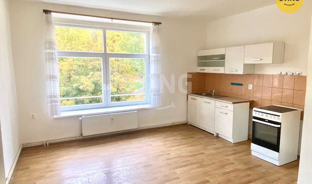 Pronájem bytu 1+kk 39 m², Bruntál – náhled fotky 2