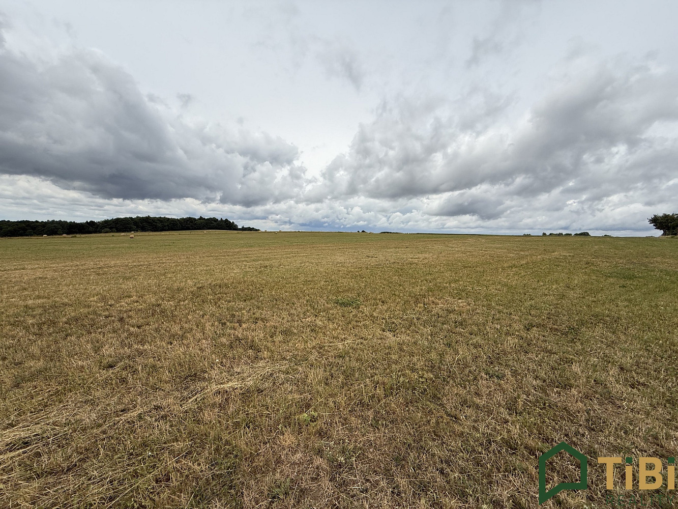 Prodej pole 2 000 m² — photo 4