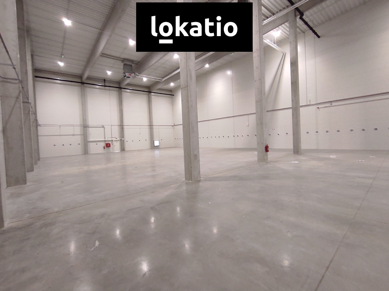 Pronájem skladovacích prostor 944 m² — photo 2