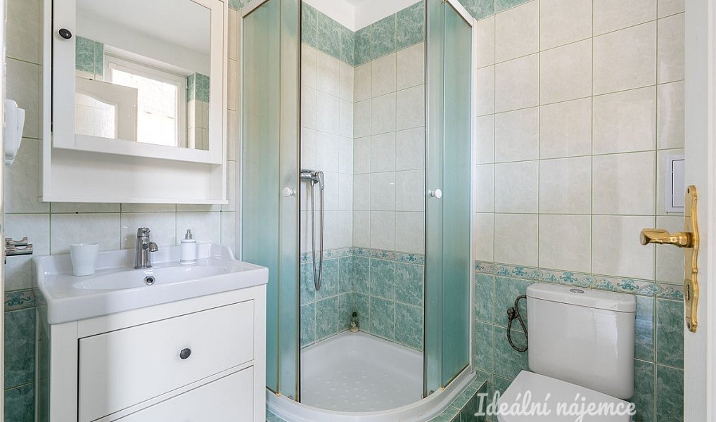 Pronájem domu 141 m² s pozemkem 451 m², Horoušany – náhled fotky 8