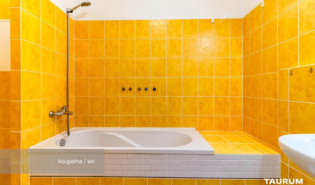 Prodej bytu 3+kk 69 m², Plzeň – náhled fotky 10