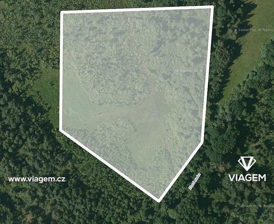 Prodej lesa 20 552 m² – fotografie 2