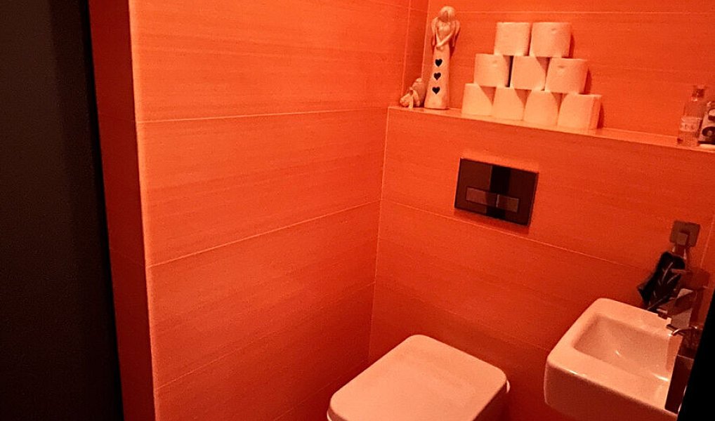 Prodej bytu 4+kk 119 m², Pelhřimov – náhled fotky 21