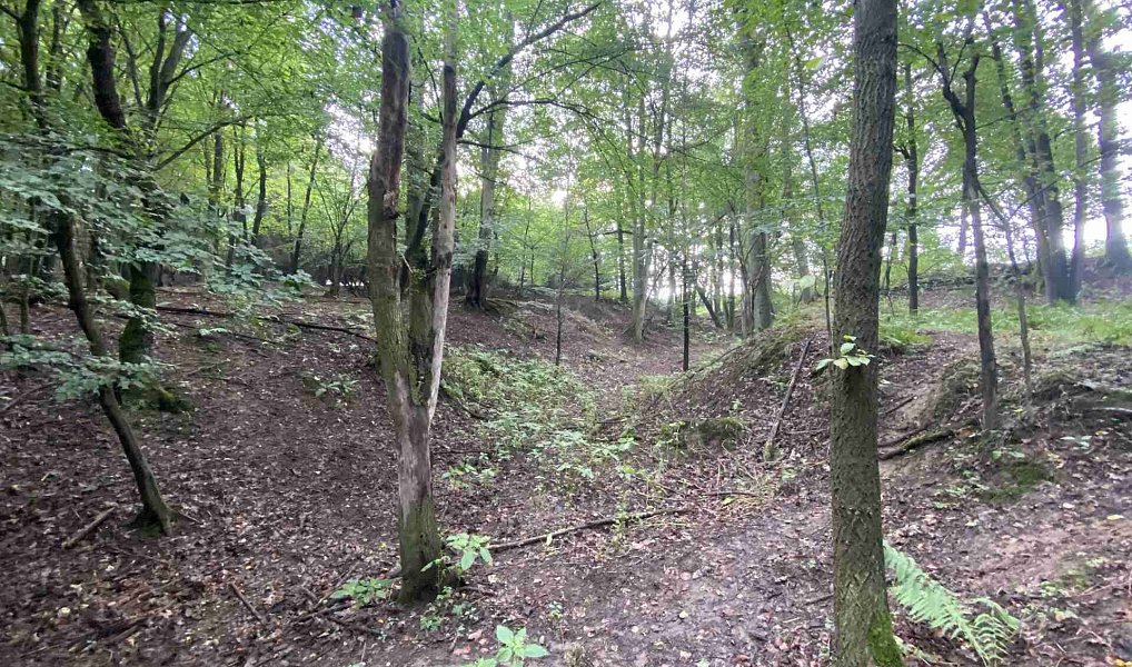 Prodej pozemku 3 382 m², Křečovice – náhled fotky 4