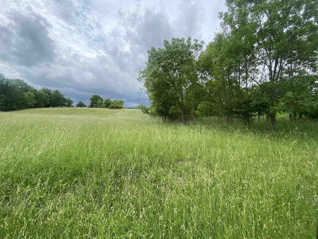 Prodej pole 12 772 m²