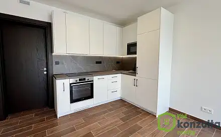 Pronájem bytu 1+kk 35 m², Třída Jiřího Pelikána, Olomouc - Nová Ulice