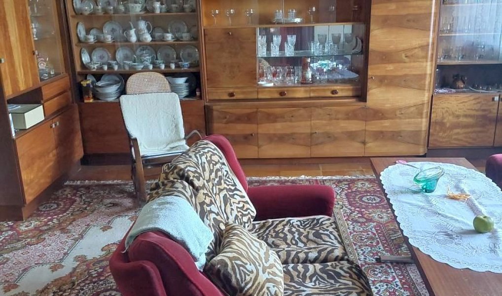 Prodej domu 125 m² s pozemkem 4 842 m², Moravský Beroun – náhled fotky 17