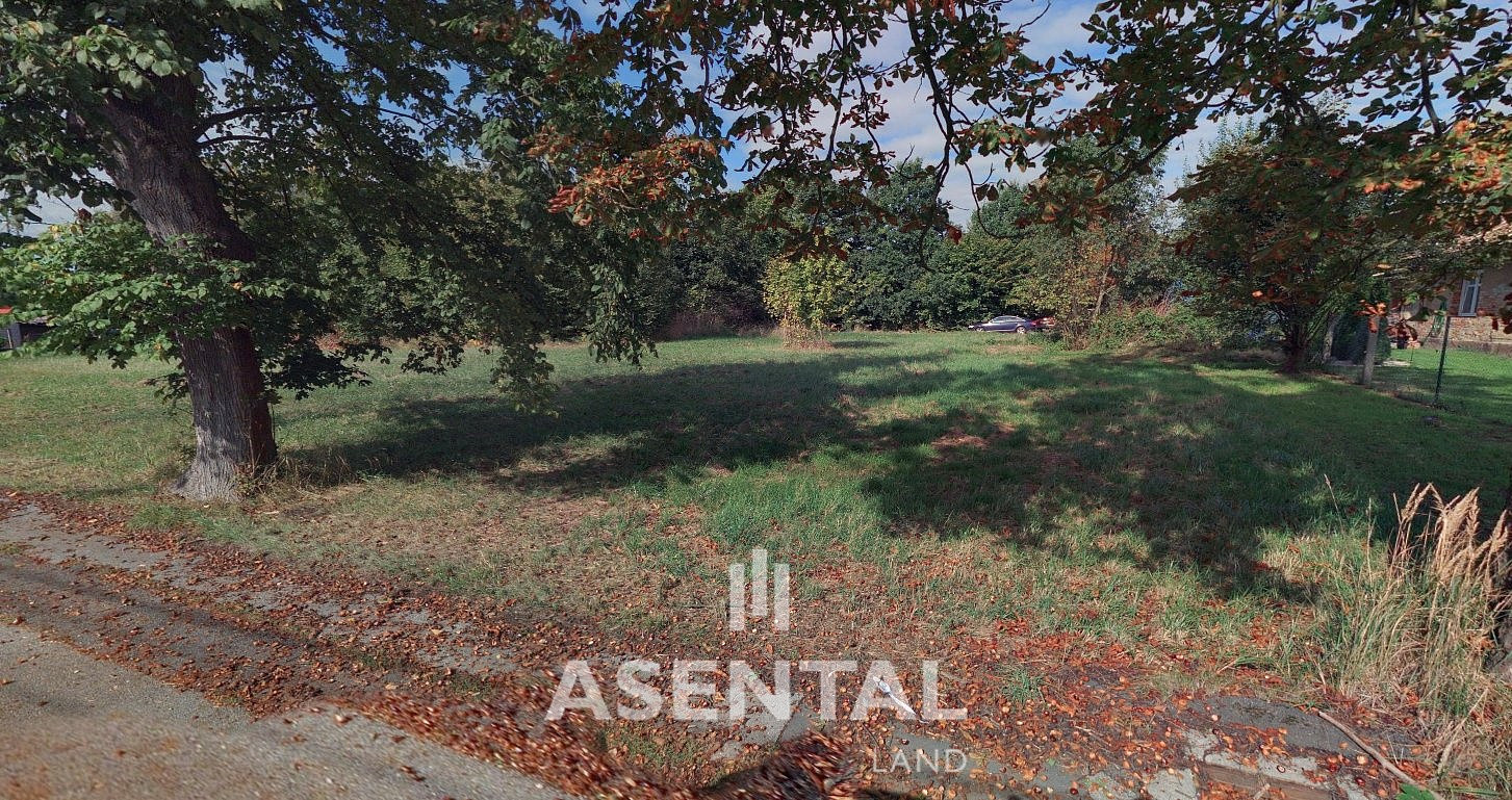 Prodej komerčního pozemku 2 655 m² – fotografie 5