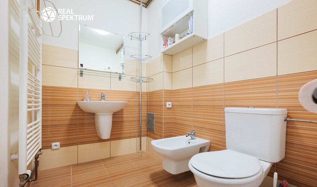 Prodej domu 217 m² s pozemkem 349 m², Brno – náhled fotky 28