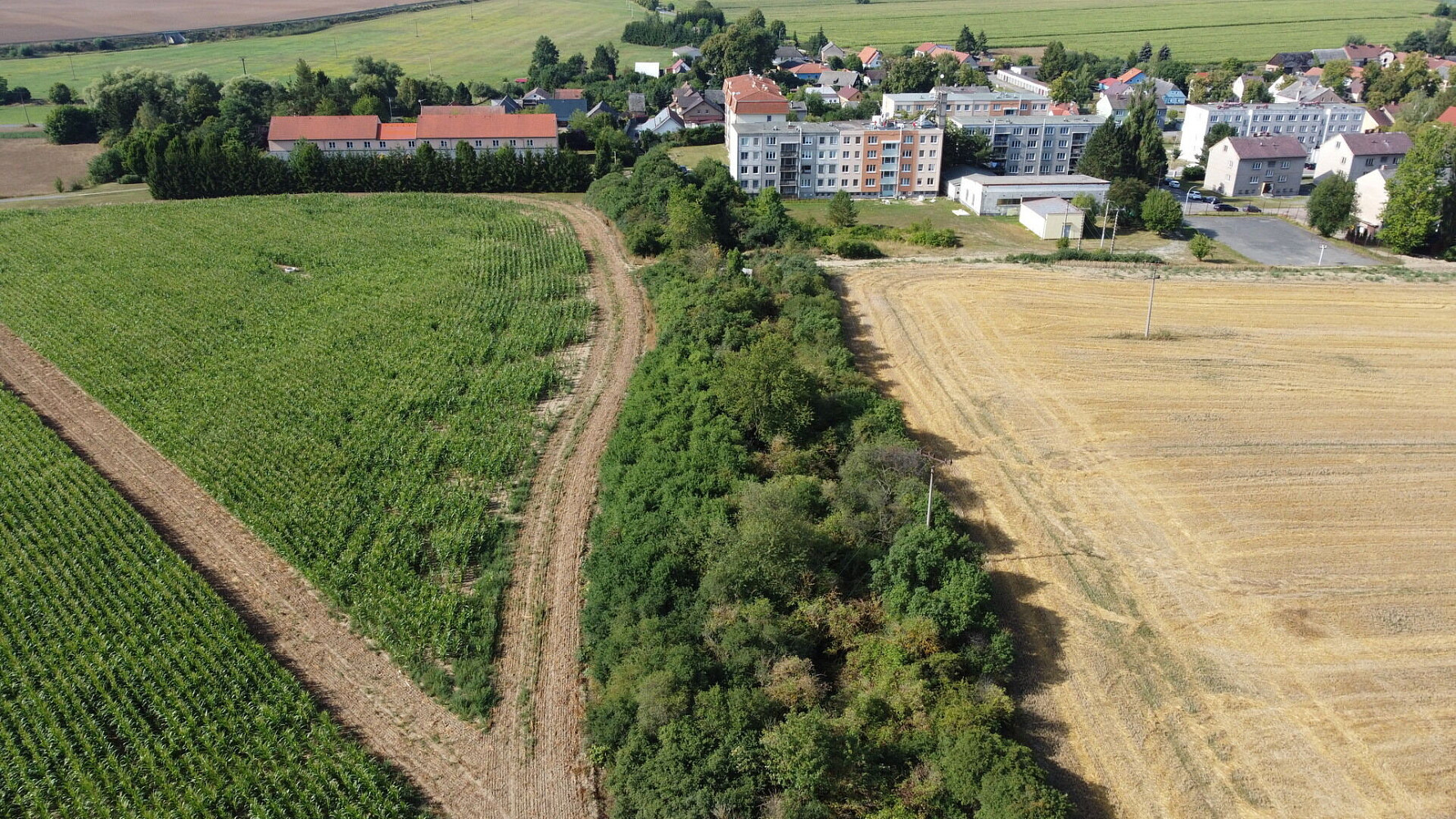Prodej pole 6 167 m² – fotografie 2