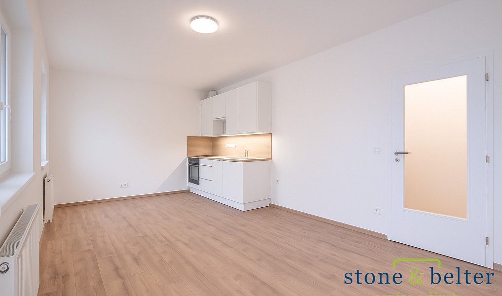 Pronájem bytu 1+kk 31 m², Praha – náhled fotky 2