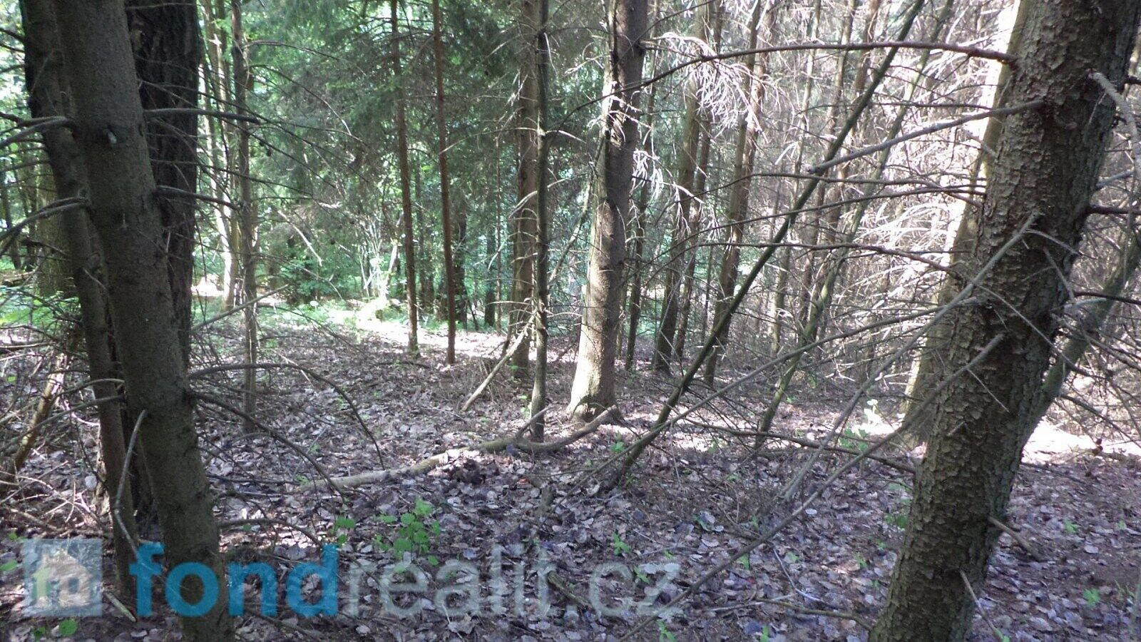 Prodej pozemku 4 634 m² – pohled 6