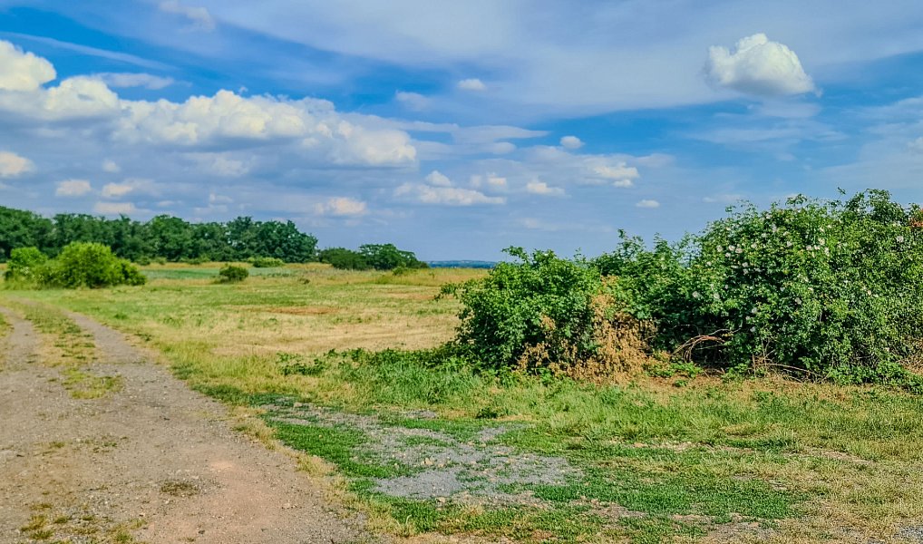Prodej stavebního pozemku 1 189 m², Horní Beřkovice – náhled fotky 7