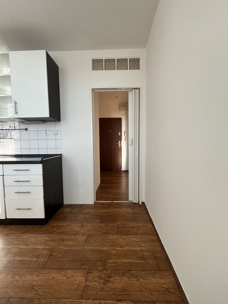 Pronájem bytu 1+1 41 m² – pohled 4