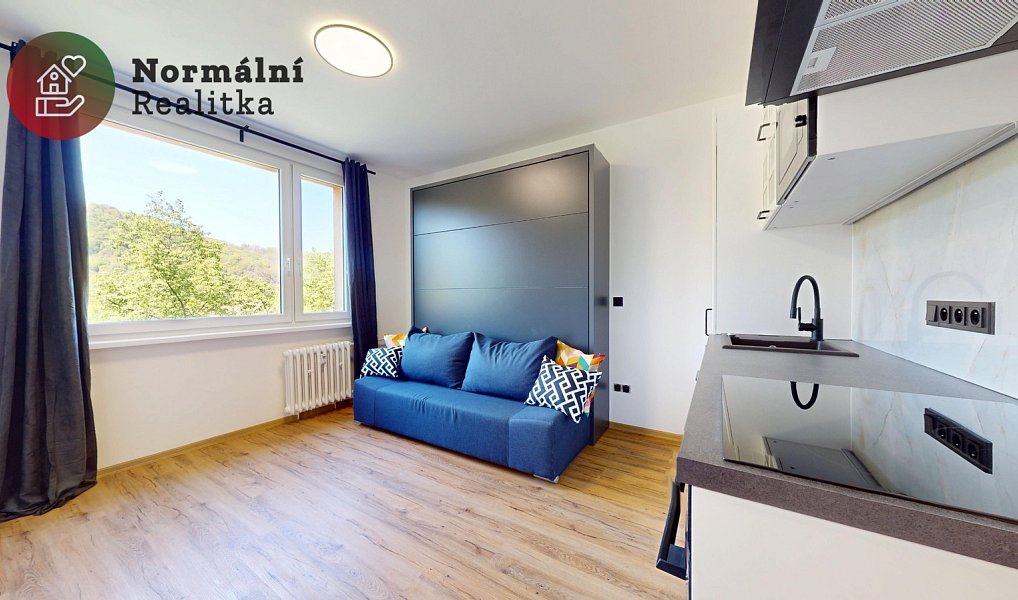 Pronájem bytu 1+kk 20 m², Ústí nad Labem – náhled fotky 2
