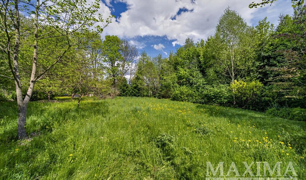 Prodej domu 278 m² s pozemkem 2 928 m², Bor – náhled fotky 26