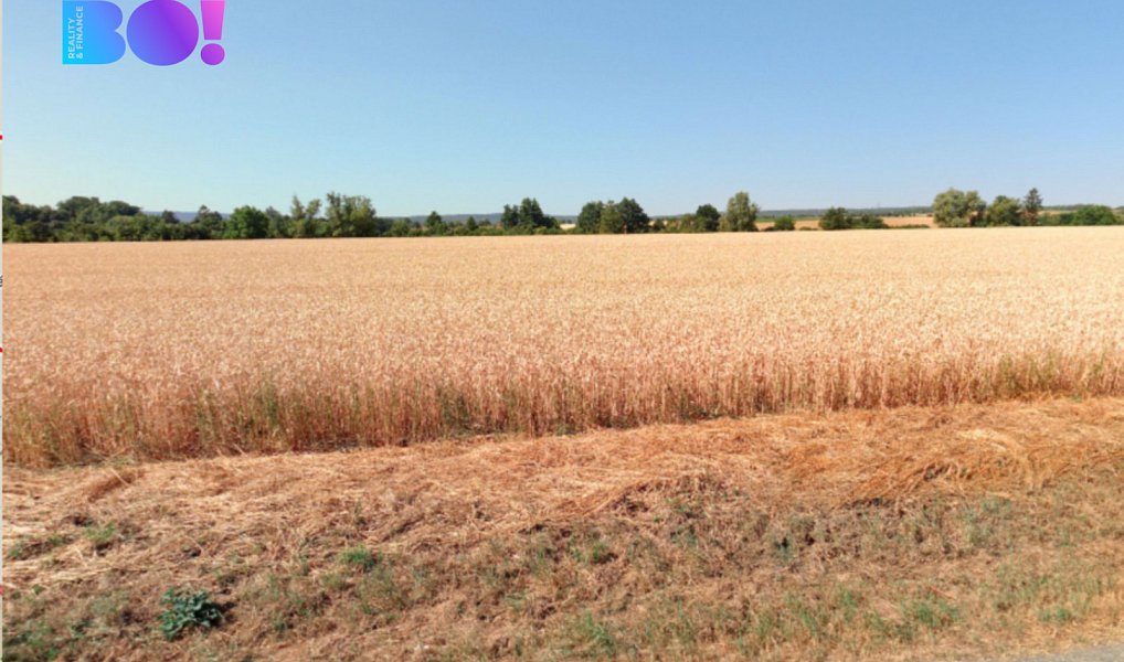 Prodej pole 7 577 m², Senice na Hané – náhled fotky 4