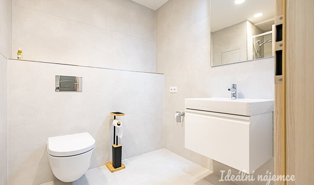 Pronájem bytu 1+kk 35 m², Praha – náhled fotky 8