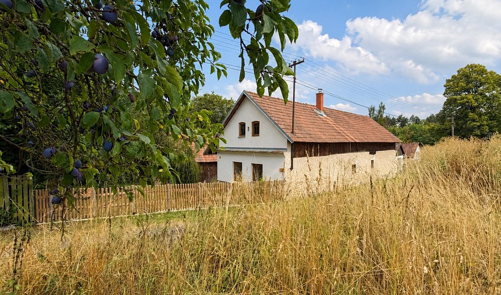 Prodej domu 75 m² s pozemkem 3 420 m², Koberovice – náhled fotky 25