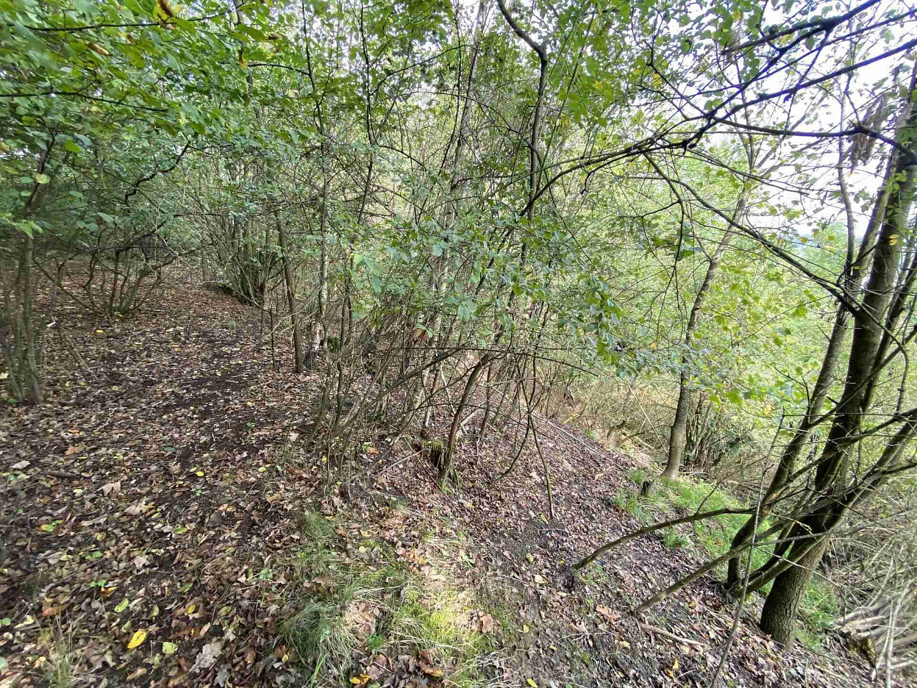 Prodej pozemku 764 m² - Widok 4