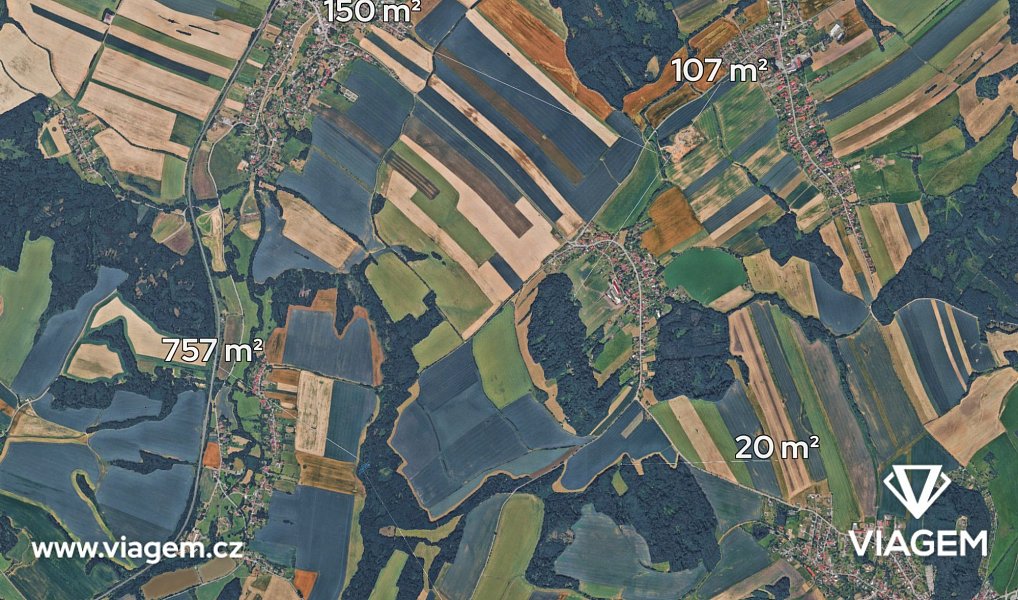 Prodej lesa 1 303 m², Jeseník nad Odrou – náhled fotky 2