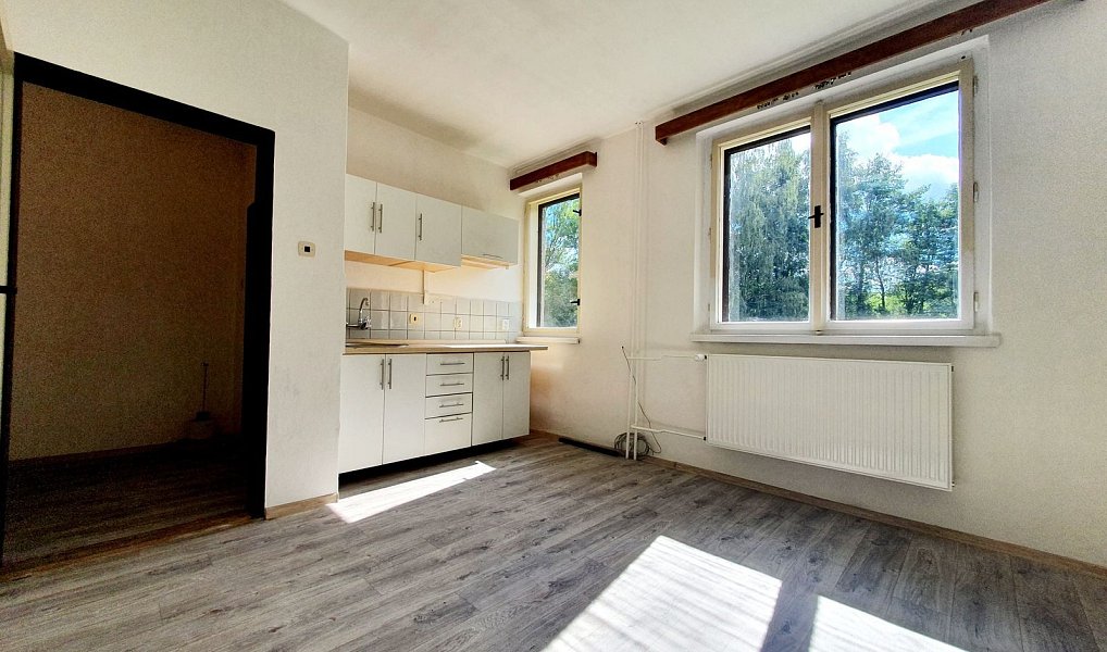 Pronájem bytu 1+kk 27 m², Olešnice v Orlických horách – náhled fotky 2