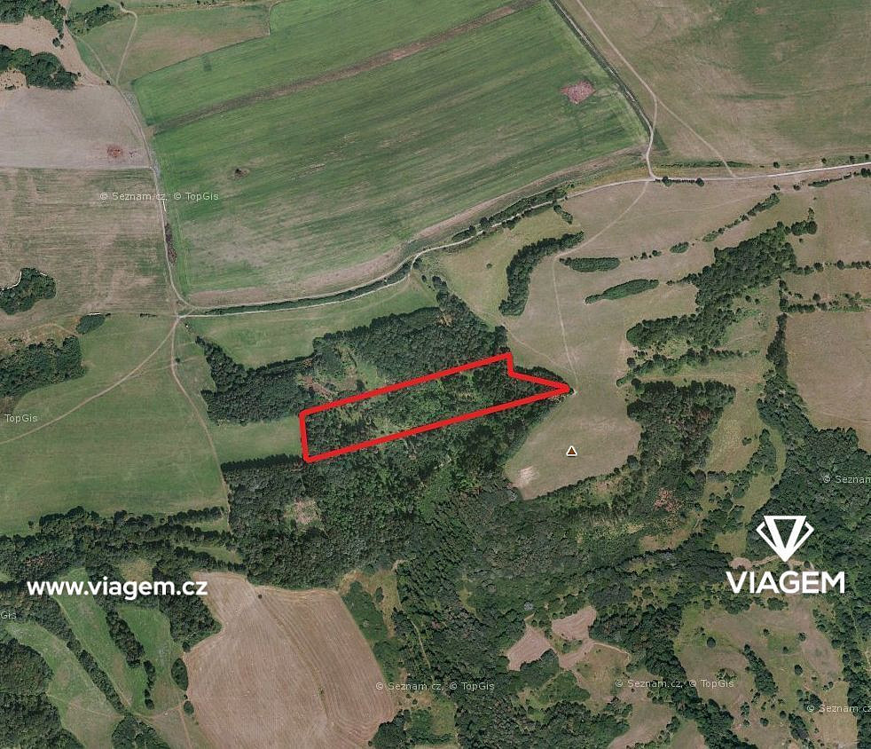 Prodej lesa 2 383 m²
