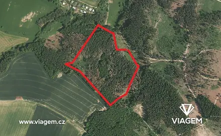 Ostatní