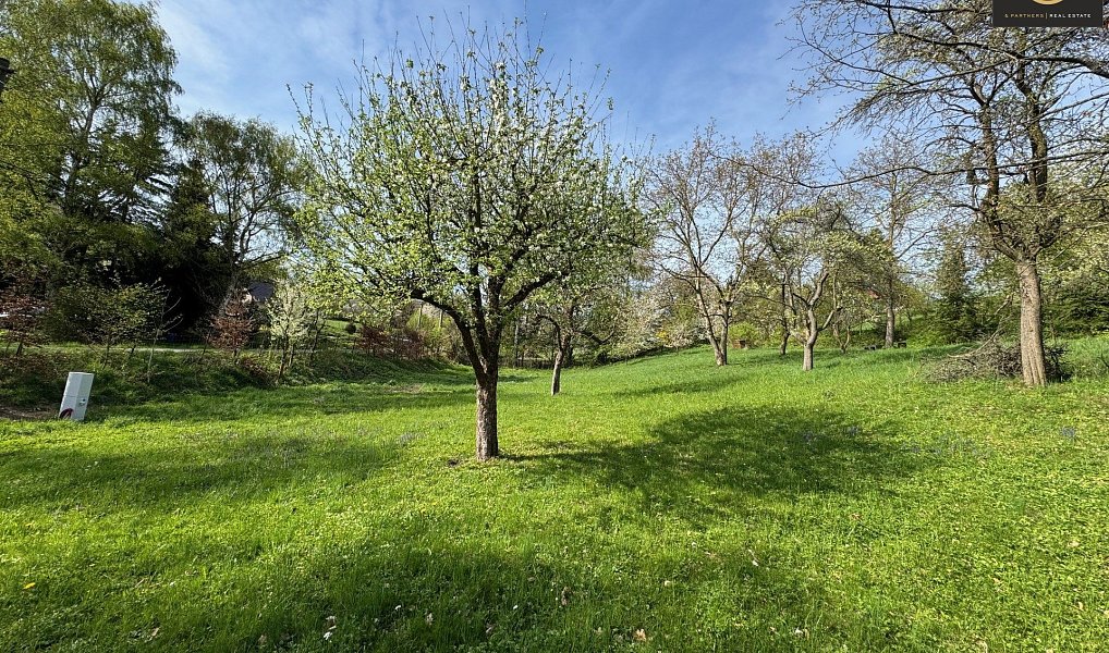 Prodej stavebního pozemku 1 706 m², Žandov – náhled fotky 5