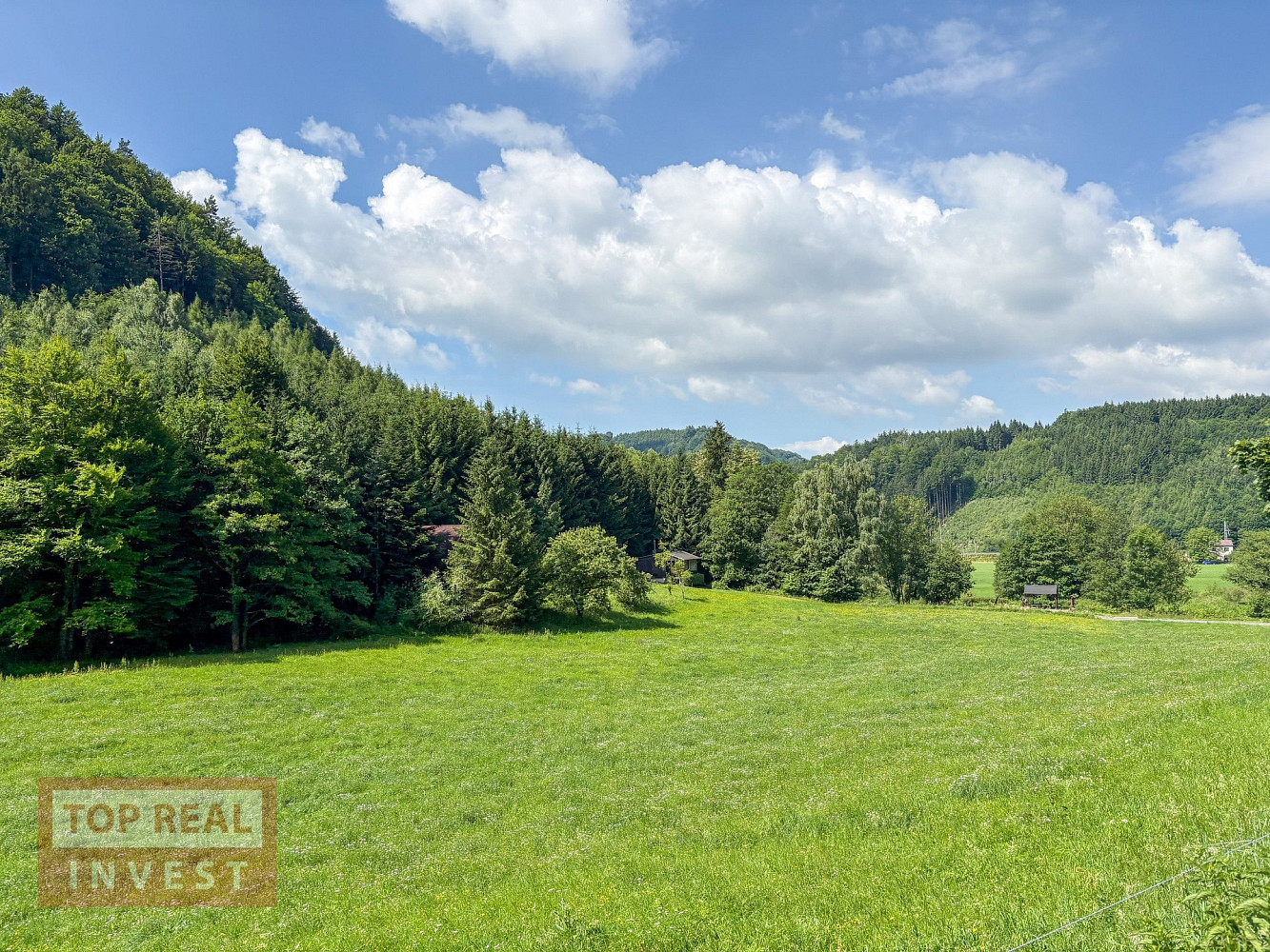 Fotka 29 z 30