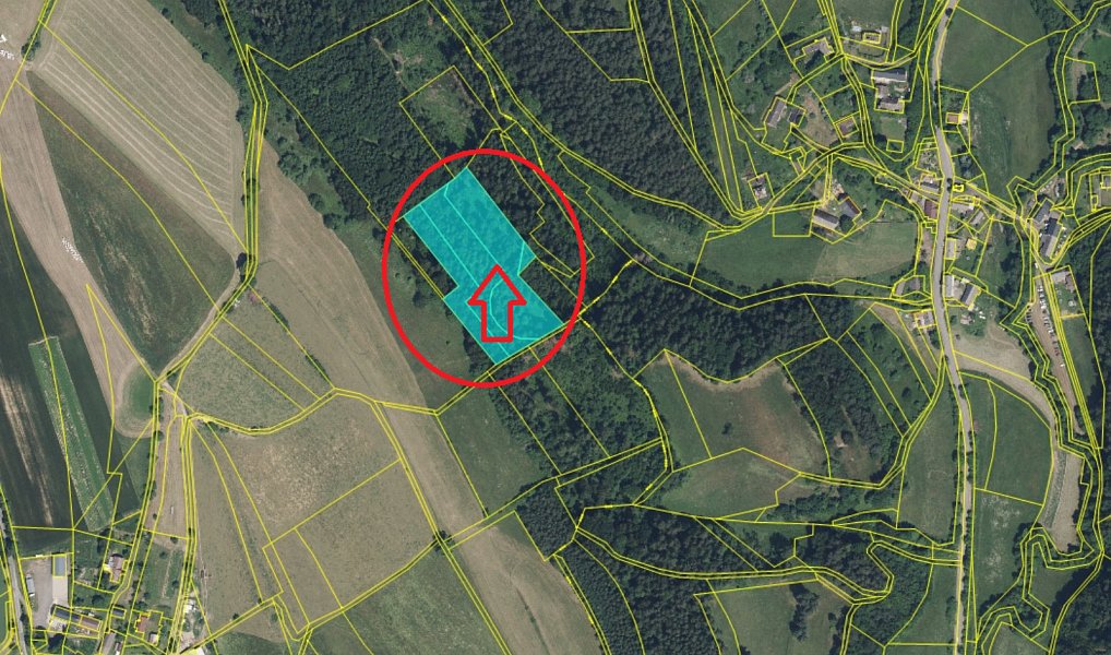 Prodej lesa 12 954 m², Všelibice – náhled fotky 9