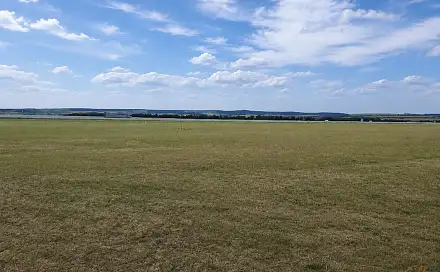 Prodej pozemku 7 465 m², Pustiměř, okres Vyškov