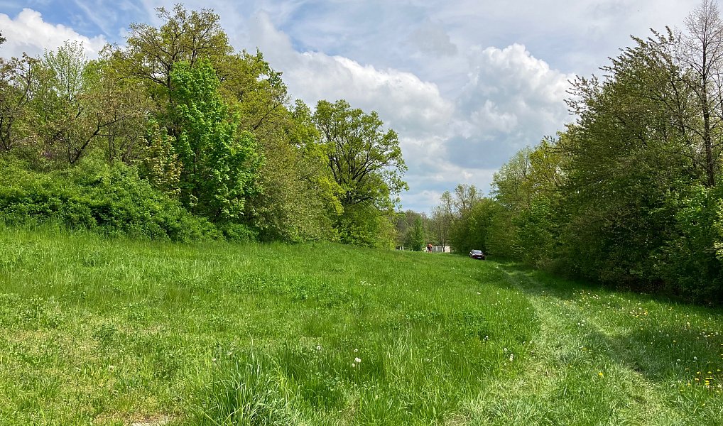 Prodej stavebního pozemku 5 367 m², Vysoký Chlumec – náhled fotky 12