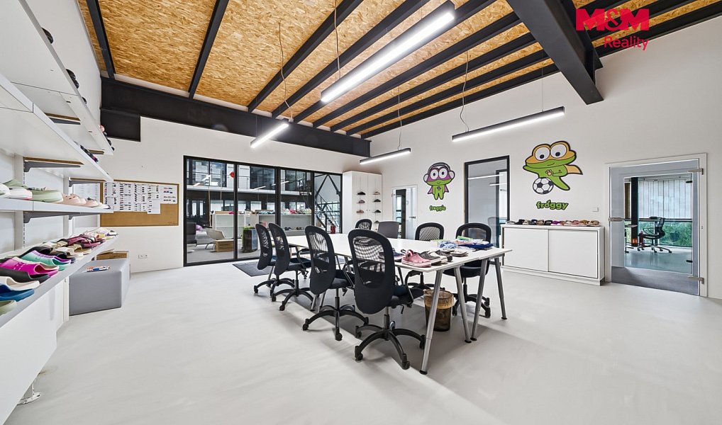 Prodej výrobních prostor 3 673 m², Rapotín – náhled fotky 9